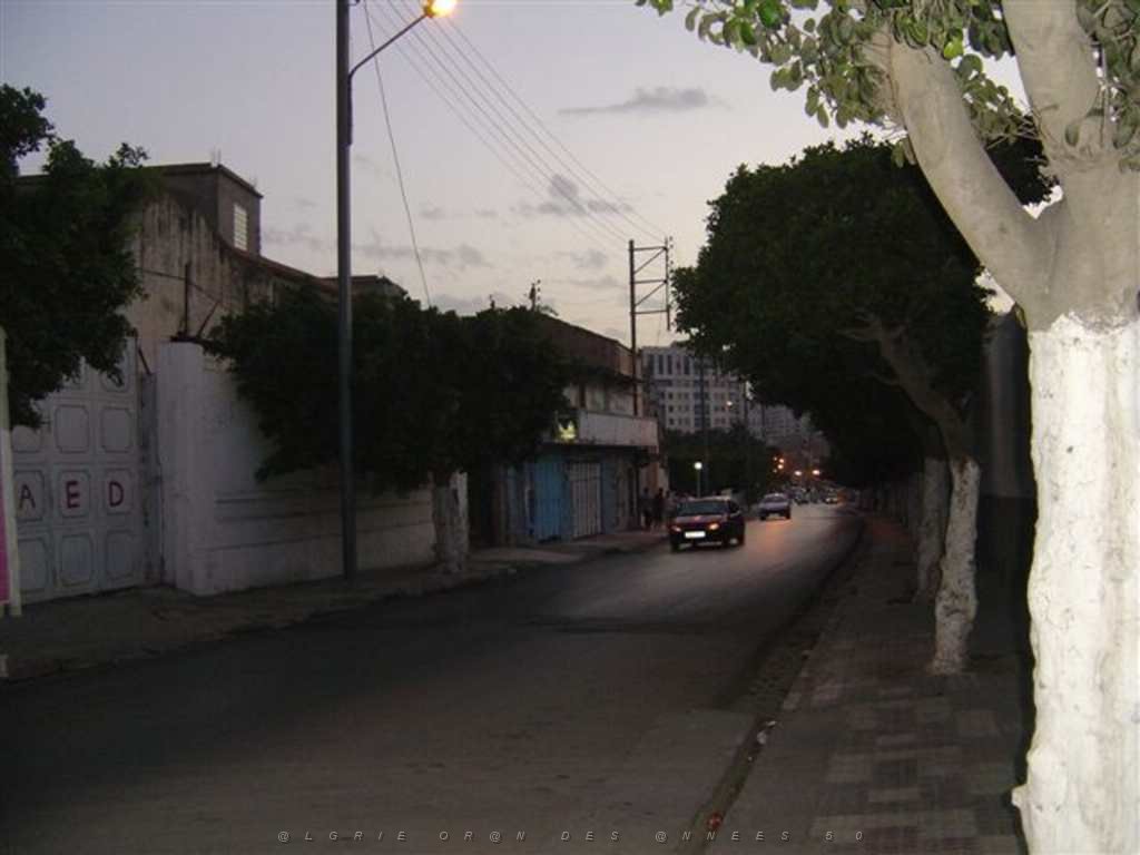 ORAN AOUT 2007 Ave de Tunis 2.JPG